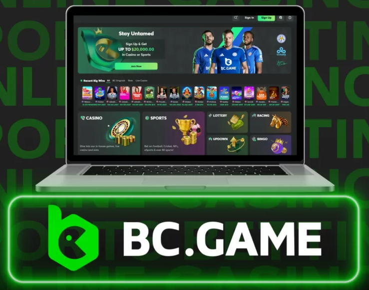 Comprehensive Guide to Support For BC Game