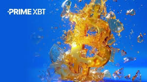 Exploring the Innovative Features of the PrimeXBT Website Exploring the Innovative Features of the PrimeXBT Website